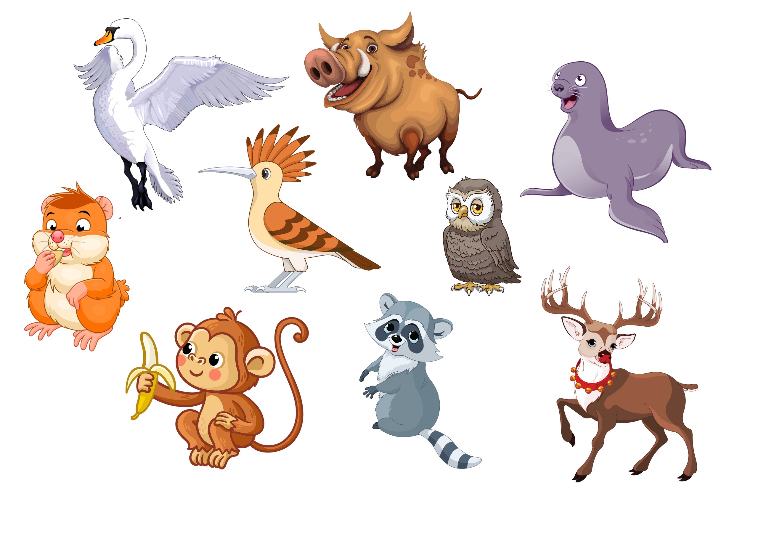 Животные в зоопарке